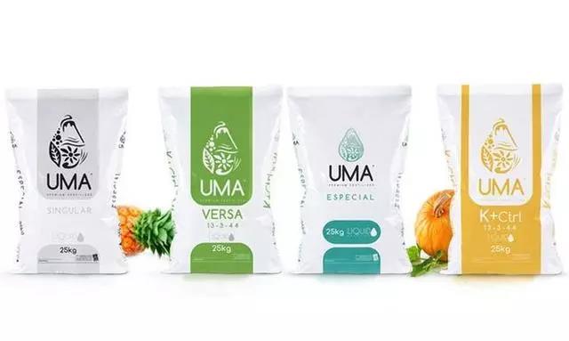 Organic green food packaging