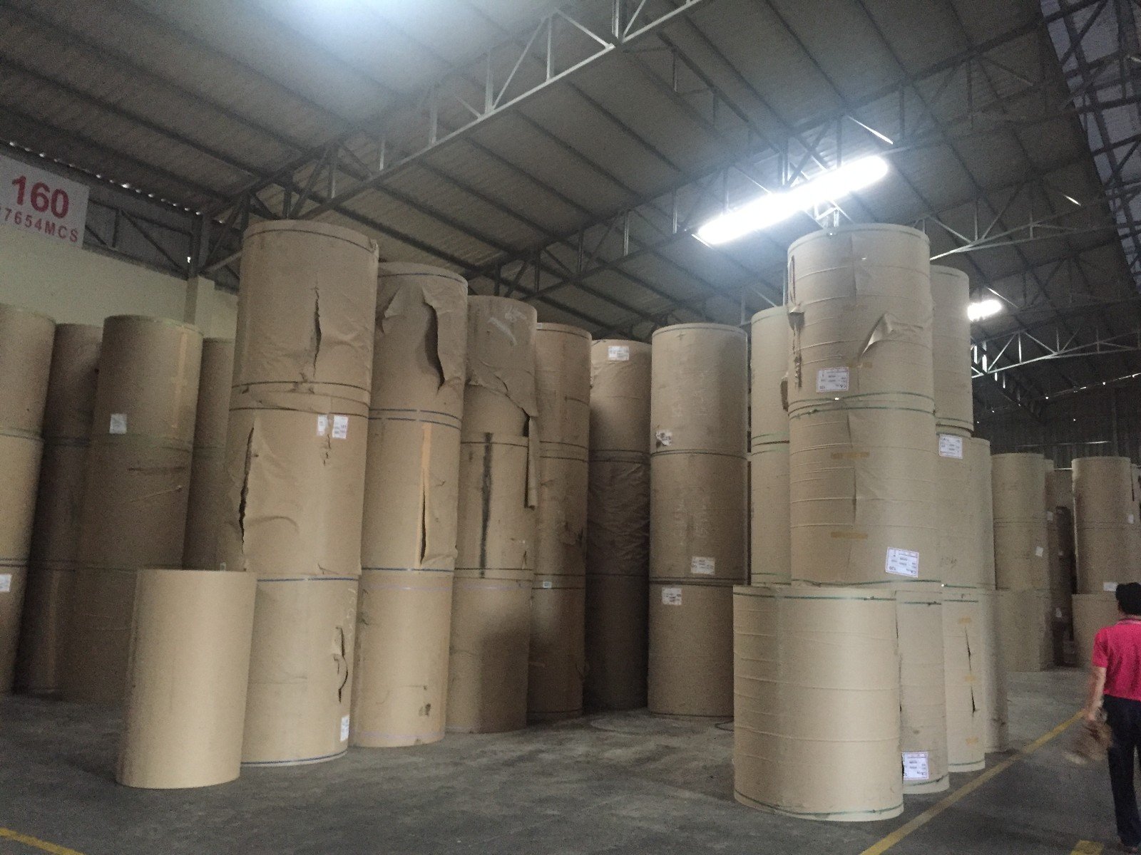 paper packaging factory